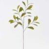Artificial Plant Chestnut tree single stem 27 lvs GS-77626004 Artificial Plant 34*19*96cm Chestnut tree single stem/27 lvs GS-77626004 2026Aug 3,000+ sqm showroom with thousands of artificial flowers, plants & trees ready for global sourcing.