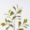 Artificial Plant Chestnut tree single stem 27 lvs GS-77626004_2 Artificial Plant 34*19*96cm Chestnut tree single stem/27 lvs GS-77626004 2026Aug 3,000+ sqm showroom with thousands of artificial flowers, plants & trees ready for global sourcing.