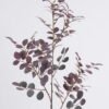 Artificial Plant 23*13*96cm Chinese Loropetalum Herb *3 single stem GS-14326002 2026Jun 3,000+ sqm showroom with thousands of artificial flowers, plants & trees ready for global sourcing.