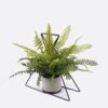 Artificial Plant Decorativeironworkpiecewithtriangularleavesofwildfernpottedleaf GS-48126015-UV_1 Artificial Fern Plant Wild Fern with Triangular Leaves, Decorative Iron Frame Potted Greenery GS-48126015-UV 2026Aug 3,000+ sqm showroom with thousands of artificial flowers, plants & trees ready for global sourcing.