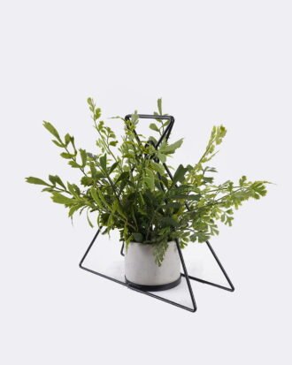 Artificial Fern Plant Wild Fern with Triangular Leaves, Decorative Iron Frame Potted Greenery GS-48126016-UV 2026Aug 3,000+ sqm showroom with thousands of artificial flowers, plants & trees ready for global sourcing. Artificial Fern Plant Wild Fern with Triangular Leaves, Decorative Iron Frame Potted Greenery GS-48126016-UV 2026Aug 3,000+ sqm showroom with thousands of artificial flowers, plants & trees ready for global sourcing.