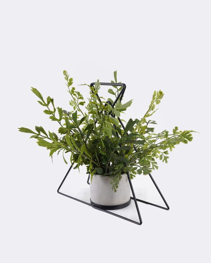 Artificial Plant Decorativeironworkpiecewithtriangularleavesofwildfernpottedleaf GS-48126016-UV_1 Artificial Fern Plant Wild Fern with Triangular Leaves, Decorative Iron Frame Potted Greenery GS-48126016-UV 2026Aug 3,000+ sqm showroom with thousands of artificial flowers, plants & trees ready for global sourcing.