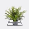 Artificial Plant Decorativeironworkpiecewithtriangularleavesofwildfernpottedleaf GS-48126017-UV Artificial Fern Plant Decorative Iron Frame with Triangular Leaves Wild Fern Potted Greenery GS-48126017-UV 2026Aug 3,000+ sqm showroom with thousands of artificial flowers, plants & trees ready for global sourcing.