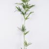 Artificial Plant Dracaena sanderiana single stem GS-71226009_2 Artificial Plant 16*8*132cm Dracaena sanderiana single stem GS-71226009 2026Aug 3,000+ sqm showroom with thousands of artificial flowers, plants & trees ready for global sourcing.