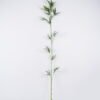 Artificial Plant Dracaena sanderiana single stem GS-71226010 Artificial Plant 16*8*168cm Dracaena sanderiana single stem GS-71226010 2026Aug 3,000+ sqm showroom with thousands of artificial flowers, plants & trees ready for global sourcing.