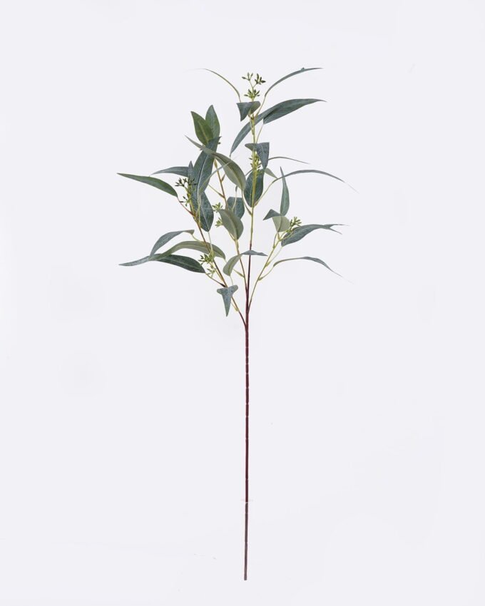 Artificial Plant 34*14*83cm Dutch eucalyptus leaves with fruits single stem GS-43126013 2026Jul 3,000+ sqm showroom with thousands of artificial flowers, plants & trees ready for global sourcing.