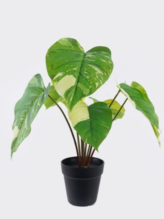 Artificial Plant 38*25*27cm Platycerium wallichii potted on the board GS-84726001 2026SEP 3,000+ sqm showroom with thousands of artificial flowers, plants & trees ready for global sourcing.