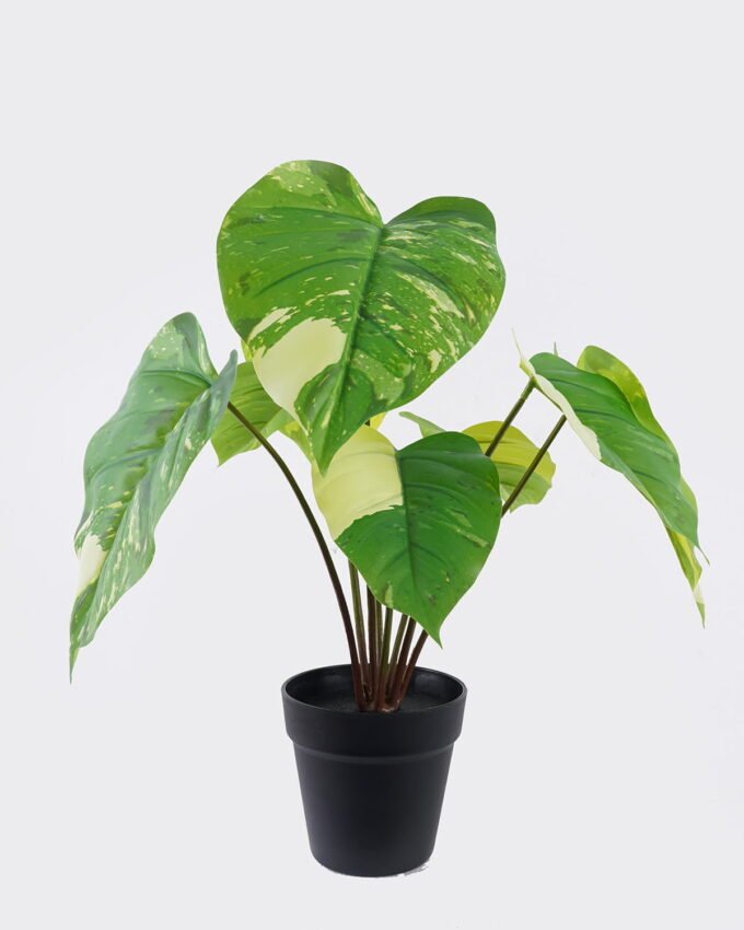 Artificial Plant 54*48*50cm Epipremnum aureum in PP pot/8 Lvs GS-84626011 2026SEP 3,000+ sqm showroom with thousands of artificial flowers, plants & trees ready for global sourcing.