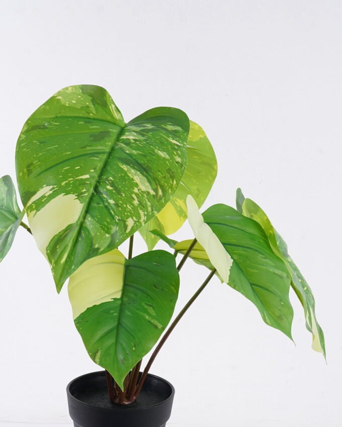 Artificial Plant 54*48*50cm Epipremnum aureum in PP pot/8 Lvs GS-84626011 2026SEP 3,000+ sqm showroom with thousands of artificial flowers, plants & trees ready for global sourcing.