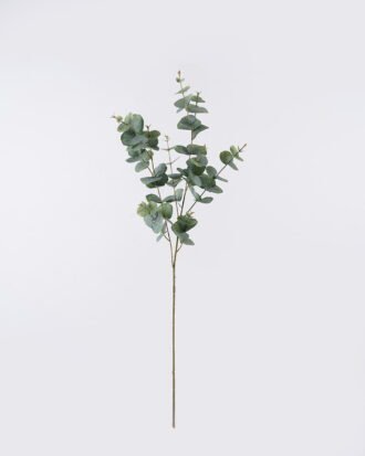 Artificial Plant 7*9*91cm Eucalyptus *10 bush GS-14326009 2026Jun 3,000+ sqm showroom with thousands of artificial flowers, plants & trees ready for global sourcing. Artificial Plant 7*9*91cm Eucalyptus *10 bush GS-14326009 2026Jun 3,000+ sqm showroom with thousands of artificial flowers, plants & trees ready for global sourcing.