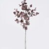Artificial Plant Eucalyptus 3 single ste GS-29226010_2 Artificial Plant 15*5*63cm Eucalyptus *3 single ste GS-29226010 2026Jul 3,000+ sqm showroom with thousands of artificial flowers, plants & trees ready for global sourcing.