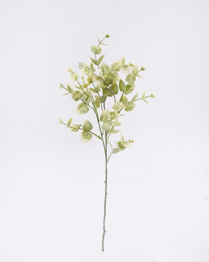 Artificial Plant Eucalyptus 3 single ste GS-29226010_4 Artificial Plant 15*5*63cm Eucalyptus *3 single ste GS-29226010 2026Jul 3,000+ sqm showroom with thousands of artificial flowers, plants & trees ready for global sourcing.