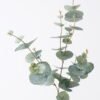 Artificial Plant 22*9*81cm Eucalyptus *8 bush GS-14326010 2026Jun 3,000+ sqm showroom with thousands of artificial flowers, plants & trees ready for global sourcing.