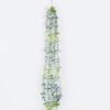 Artificial Plant Eucalyptus hanging GS-83325013_5 Artificial Plant 10*7*90cm Eucalyptus hanging GS-83325013 2026SEP 3,000+ sqm showroom with thousands of artificial flowers, plants & trees ready for global sourcing.