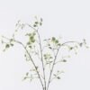 Artificial Plant Eucalyptus leaf single stem GS-30026002_2 Artificial Plant 23*14*90cm Eucalyptus leaf single stem GS-30026002 2026Jul 3,000+ sqm showroom with thousands of artificial flowers, plants & trees ready for global sourcing.