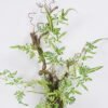 Artificial Plant 30*10*80cm Fengxiang Vine  single stem GS-78826016 2026Aug 3,000+ sqm showroom with thousands of artificial flowers, plants & trees ready for global sourcing.