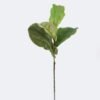 Artificial Plant Ficus lyrata single stem GS-78826017_6 Artificial Plant 25*10*90cm Ficus lyrata single stem GS-78826017 2026Aug 3,000+ sqm showroom with thousands of artificial flowers, plants & trees ready for global sourcing.