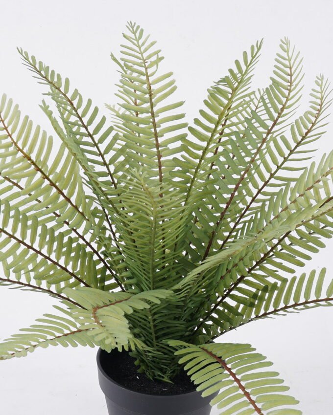 Artificial Plant Fine ripple Leaf in PP pot 25 lvs GS-59126001-G2_5 Artificial Plant 24*24*38cm Fine ripple Leaf in PP pot/25 lvs GS-59126001-G2 2026Aug 3,000+ sqm showroom with thousands of artificial flowers, plants & trees ready for global sourcing.