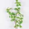 Artificial Plant 21*10*108cm Flower single stem GS-30026032 2026Jul 3,000+ sqm showroom with thousands of artificial flowers, plants & trees ready for global sourcing.