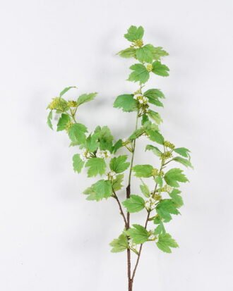 Artificial Plant 21*10*108cm Flower single stem GS-30026032 2026Jul 3,000+ sqm showroom with thousands of artificial flowers, plants & trees ready for global sourcing. Artificial Plant 21*10*108cm Flower single stem GS-30026032 2026Jul 3,000+ sqm showroom with thousands of artificial flowers, plants & trees ready for global sourcing.