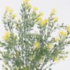Artificial Plant Grass acanthosphere 11 bush GS-01126002_1 Artificial Plant 15*9*40cm Grass acanthosphere *11 bush GS-01126002 2026Jun 3,000+ sqm showroom with thousands of artificial flowers, plants & trees ready for global sourcing.