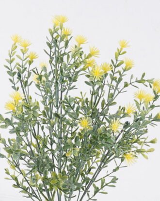 Artificial Plant 15*9*40cm Grass acanthosphere *11 bush GS-01126002 2026Jun 3,000+ sqm showroom with thousands of artificial flowers, plants & trees ready for global sourcing. Artificial Plant 15*9*40cm Grass acanthosphere *11 bush GS-01126002 2026Jun 3,000+ sqm showroom with thousands of artificial flowers, plants & trees ready for global sourcing.