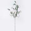 Artificial Plant Large curved-leaf eucalyptus with fruits single stem GS-43126005_1 Artificial Plant 14*13*102.5cm Large curved-leaf eucalyptus with fruits single stem GS-43126005 2026Jul 3,000+ sqm showroom with thousands of artificial flowers, plants & trees ready for global sourcing.