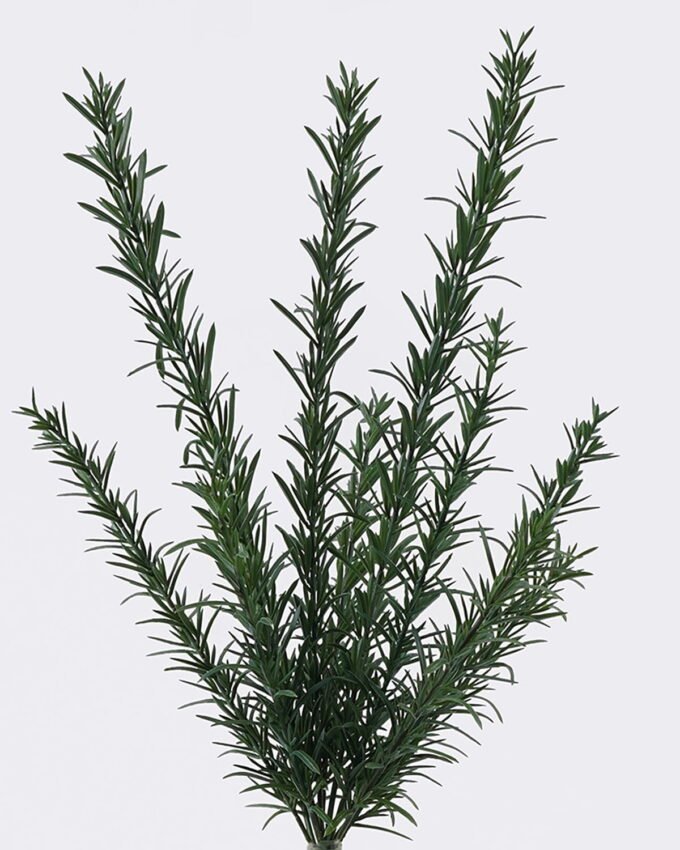 Artificial Plant 27*15*42cm Leaf *11 bush GS-02226006 2026Jun 3,000+ sqm showroom with thousands of artificial flowers, plants & trees ready for global sourcing.