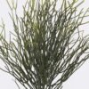 Artificial Plant Leaf 13 bush GS-02226001_3 Artificial Plant 28*20*60cm Leaf *13 bush GS-02226001 2026Jun 3,000+ sqm showroom with thousands of artificial flowers, plants & trees ready for global sourcing.