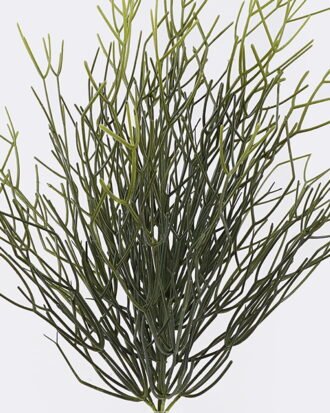 Artificial Plant 28*20*60cm Leaf *13 bush GS-02226001 2026Jun 3,000+ sqm showroom with thousands of artificial flowers, plants & trees ready for global sourcing. Artificial Plant 28*20*60cm Leaf *13 bush GS-02226001 2026Jun 3,000+ sqm showroom with thousands of artificial flowers, plants & trees ready for global sourcing.