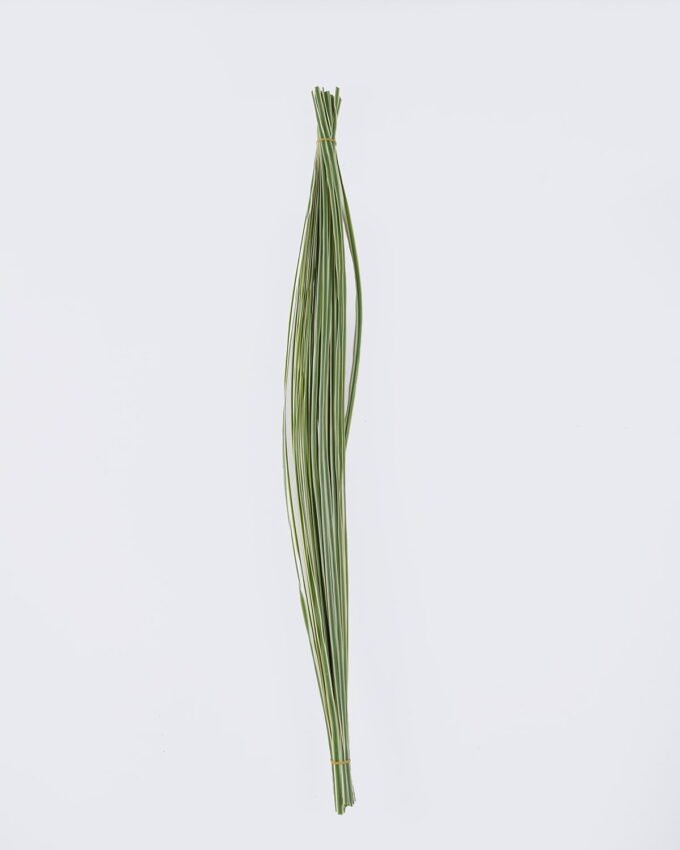 Artificial Plant 3*3*100cm Leaf/50 PCS GS-41926001 2026Jul 3,000+ sqm showroom with thousands of artificial flowers, plants & trees ready for global sourcing.