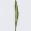 Artificial Plant 4*4*100cm Leaf/50 PCS GS-41926002 2026Jul 3,000+ sqm showroom with thousands of artificial flowers, plants & trees ready for global sourcing.