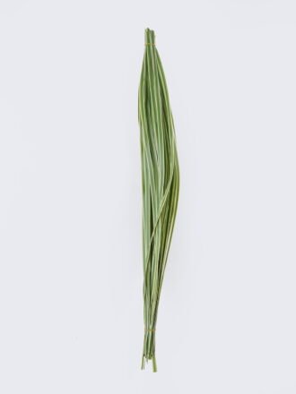 Artificial Plant 3*3*100cm Leaf/50 PCS GS-41926001 2026Jul 3,000+ sqm showroom with thousands of artificial flowers, plants & trees ready for global sourcing.