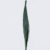 Artificial Plant 3*3*100cm Leaf/50 PCS GS-41926003 2026Jul 3,000+ sqm showroom with thousands of artificial flowers, plants & trees ready for global sourcing.