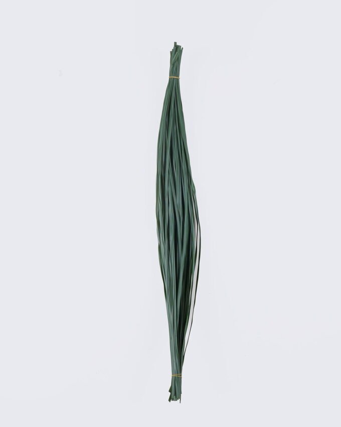 Artificial Plant 3*3*100cm Leaf/50 PCS GS-41926003 2026Jul 3,000+ sqm showroom with thousands of artificial flowers, plants & trees ready for global sourcing.
