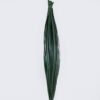 Artificial Plant Leaf 50 PCS GS-41926004_4 Artificial Plant 4*4*100cm Leaf/50 PCS GS-41926004 2026Jul 3,000+ sqm showroom with thousands of artificial flowers, plants & trees ready for global sourcing.