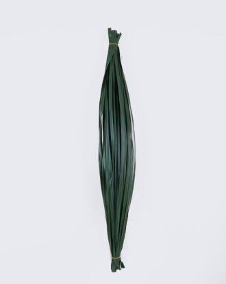 Artificial Plant 4*4*100cm Leaf/50 PCS GS-41926004 2026Jul 3,000+ sqm showroom with thousands of artificial flowers, plants & trees ready for global sourcing. Artificial Plant 4*4*100cm Leaf/50 PCS GS-41926004 2026Jul 3,000+ sqm showroom with thousands of artificial flowers, plants & trees ready for global sourcing.