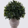 Artificial Plant Leaf in Cement pot uv protection 1920 lvs GS-02226008-UV Artificial Plant 52*48*80cm Leaf in Cement pot uv protection/1920 lvs GS-02226008-UV 2026Jun 3,000+ sqm showroom with thousands of artificial flowers, plants & trees ready for global sourcing.
