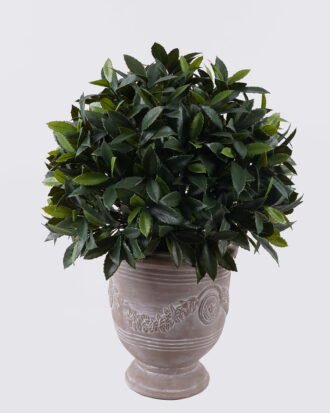 Artificial Plant 52*48*80cm Leaf in Cement pot uv protection/1920 lvs GS-02226008-UV 2026Jun 3,000+ sqm showroom with thousands of artificial flowers, plants & trees ready for global sourcing. Artificial Plant 52*48*80cm Leaf in Cement pot uv protection/1920 lvs GS-02226008-UV 2026Jun 3,000+ sqm showroom with thousands of artificial flowers, plants & trees ready for global sourcing.