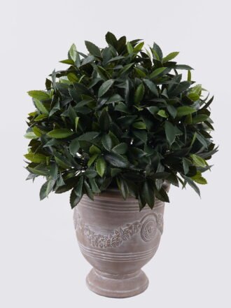 Artificial Plant 46*46*60cm Anti-UV Tree in PP pot GS-02226009-UV 2026Jun 3,000+ sqm showroom with thousands of artificial flowers, plants & trees ready for global sourcing.
