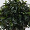 Artificial Plant Leaf in Cement pot uv protection 1920 lvs GS-02226008-UV_6 Artificial Plant 52*48*80cm Leaf in Cement pot uv protection/1920 lvs GS-02226008-UV 2026Jun 3,000+ sqm showroom with thousands of artificial flowers, plants & trees ready for global sourcing.