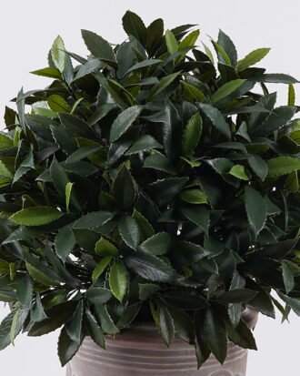 Artificial Plant 52*48*80cm Leaf in Cement pot uv protection/1920 lvs GS-02226008-UV 2026Jun 3,000+ sqm showroom with thousands of artificial flowers, plants & trees ready for global sourcing. Artificial Plant 52*48*80cm Leaf in Cement pot uv protection/1920 lvs GS-02226008-UV 2026Jun 3,000+ sqm showroom with thousands of artificial flowers, plants & trees ready for global sourcing.