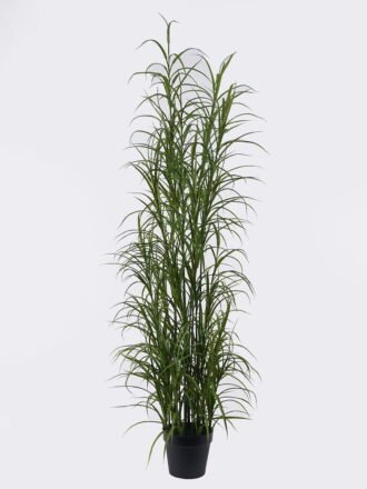 Artificial Plant 27*15*42cm Leaf *11 bush GS-02226006 2026Jun 3,000+ sqm showroom with thousands of artificial flowers, plants & trees ready for global sourcing.