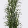 Artificial Plant Leaf in PP pot GS-02226007_8 Artificial Plant 45*30*180cm Leaf in PP pot GS-02226007 2026Jun 3,000+ sqm showroom with thousands of artificial flowers, plants & trees ready for global sourcing.