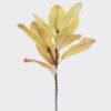 Artificial Plant Leaf single stem 10 lvs GS-72725024-Y2_2 Artificial Plant 22*22*56cm Leaf single stem/10 lvs GS-72725024-Y2 2026Aug 3,000+ sqm showroom with thousands of artificial flowers, plants & trees ready for global sourcing.