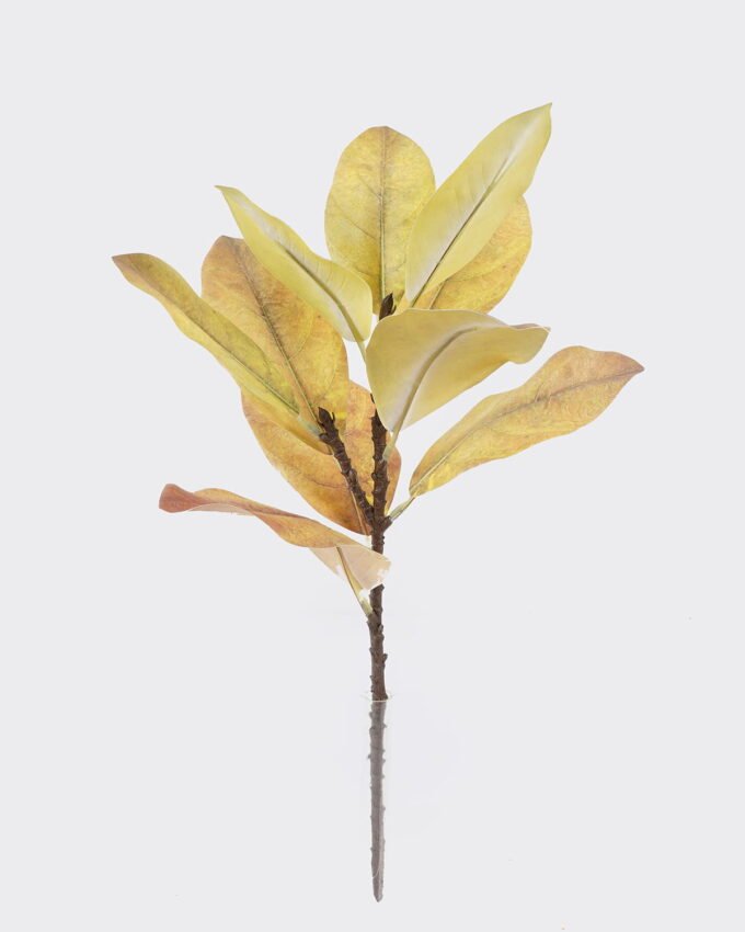 Artificial Plant 22*22*56cm Leaf  single stem/10 lvs GS-72725024-Y2 2026Aug 3,000+ sqm showroom with thousands of artificial flowers, plants & trees ready for global sourcing.