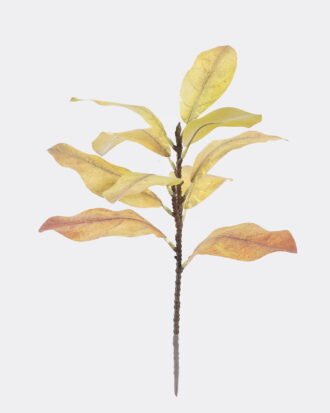 Artificial Plant 22*22*56cm Leaf single stem/10 lvs GS-72725024-Y2 2026Aug 3,000+ sqm showroom with thousands of artificial flowers, plants & trees ready for global sourcing. Artificial Plant 22*22*56cm Leaf single stem/10 lvs GS-72725024-Y2 2026Aug 3,000+ sqm showroom with thousands of artificial flowers, plants & trees ready for global sourcing.