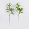 Artificial Plant 30*12*95cm Leaf single stem GS-39126024 2026Jul 3,000+ sqm showroom with thousands of artificial flowers, plants & trees ready for global sourcing.