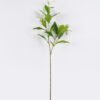 Artificial Plant 30*12*95cm Leaf single stem GS-39126024 2026Jul 3,000+ sqm showroom with thousands of artificial flowers, plants & trees ready for global sourcing.
