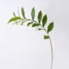 Artificial Plant Leaf single stem GS-39126025-G1_8 Artificial Plant 20*8*98cm Leaf single stem GS-39126025-G1 2026Jul 3,000+ sqm showroom with thousands of artificial flowers, plants & trees ready for global sourcing.